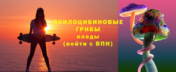 прущая мука Алзамай