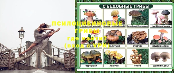 прущая мука Алзамай