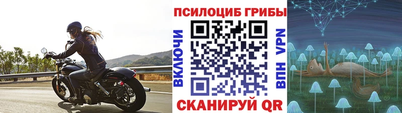 Псилоцибиновые грибы мухоморы площадка наркотические препараты Орлов мега онион